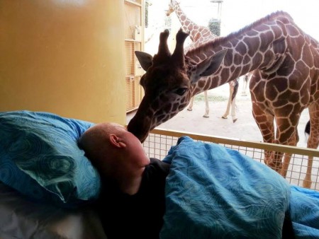 El momento que la jirafa le da a Mario su beso de despedida. Foto: Cortesía de Ambulance Wish Foundation - PULSAR PARA AMPLIAR