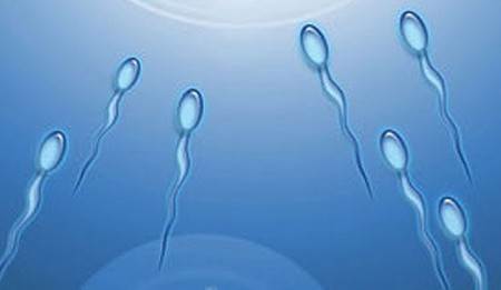 ¿Sabes la velocidad que sale el esperma? Si lees el artículo lo sabrás y otras cosas curiosas del sexo (Foto: ilustración)