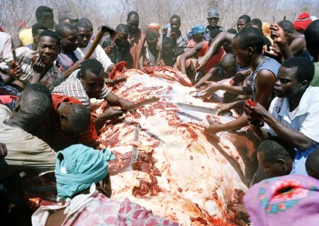 Con machetes, cuchillos caseros y las manos cortan grandes trozos de carne. (Foto: Cortesía de David Chancellor)