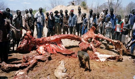 En sólo dos horas dejan al descubierto el esqueleto del enorme animal. (Foto: Cortesía de David Chancellor)