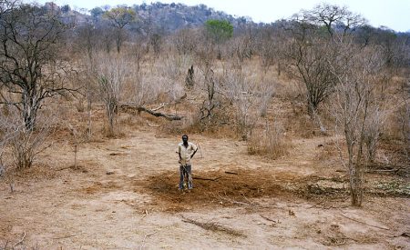 Al día siguiente ya no hay rastro del elefante. Los huesos sirven para hacer sopa. (Foto: Cortesía de David Chancellor)
