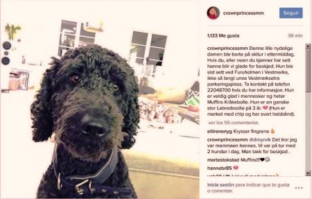 La princesa Mette-Marit de Noruega pidió ayuda en Instagram para buscar a Muffins Kråkebolle, una de las perras de la familia que había desaparecido mientras esquiaban. (Foto: Princesa Mette-Marit / Captura Instagram)