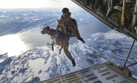 Aquí «Duke» saltando con su dueño desde un avión en los cielos noruegos de Narvik. (Foto: Cortesía Austrian Army) - PULSAR PARA AMPLIAR -