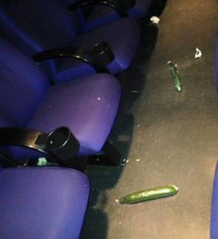 Los dos pepinos españoles encontrados en la sala de cine tras la proyección de Fifty Shades Darker. Foto: Cortesía de Fredrikstad Kino